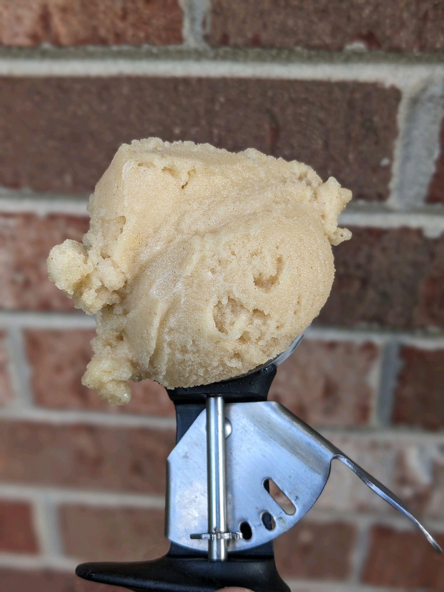 Brick wall in the background with some delicious tan Apple Cider sorbet on a scoop in the foreground