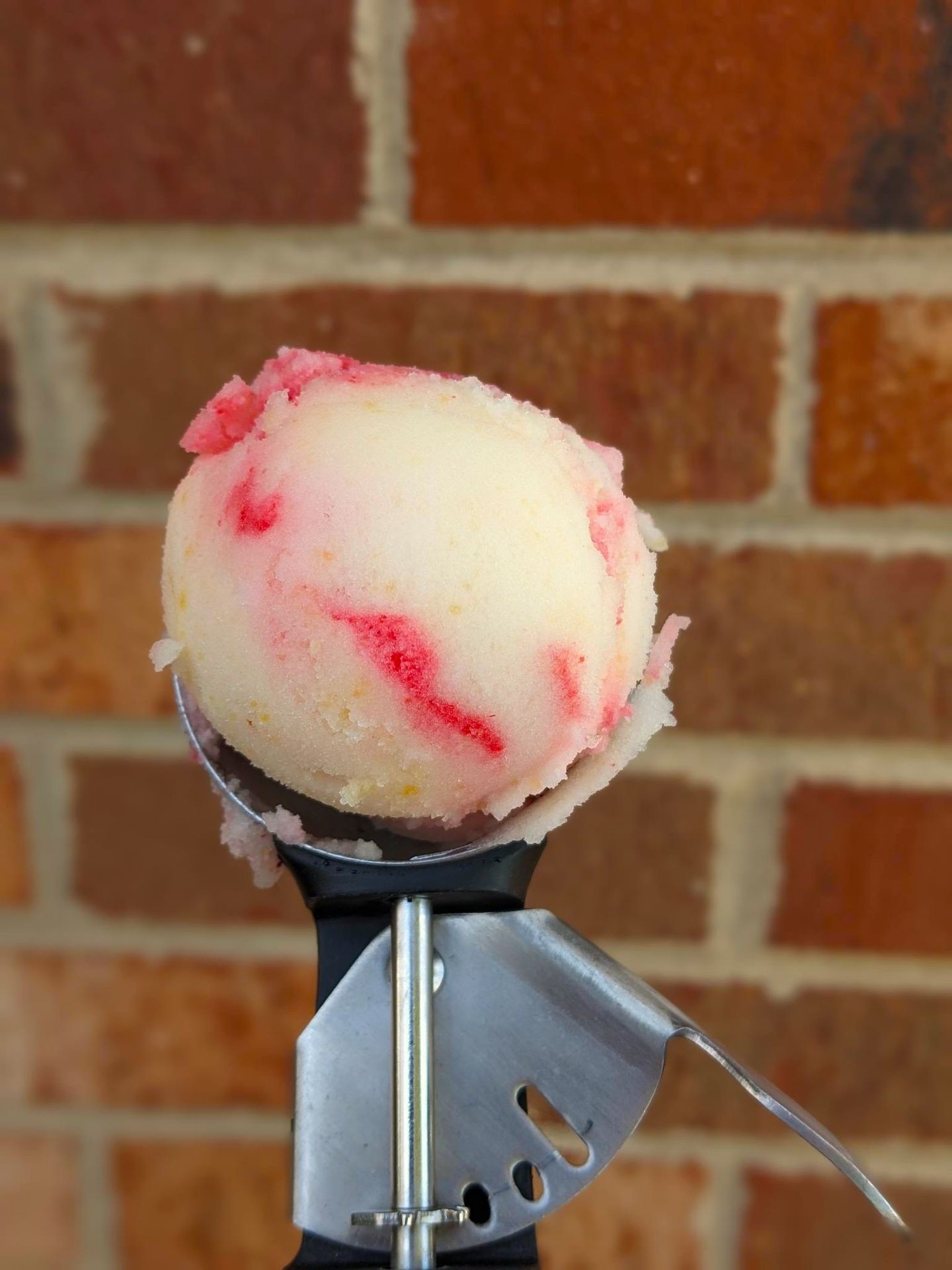 scoop of peach melba sorbet