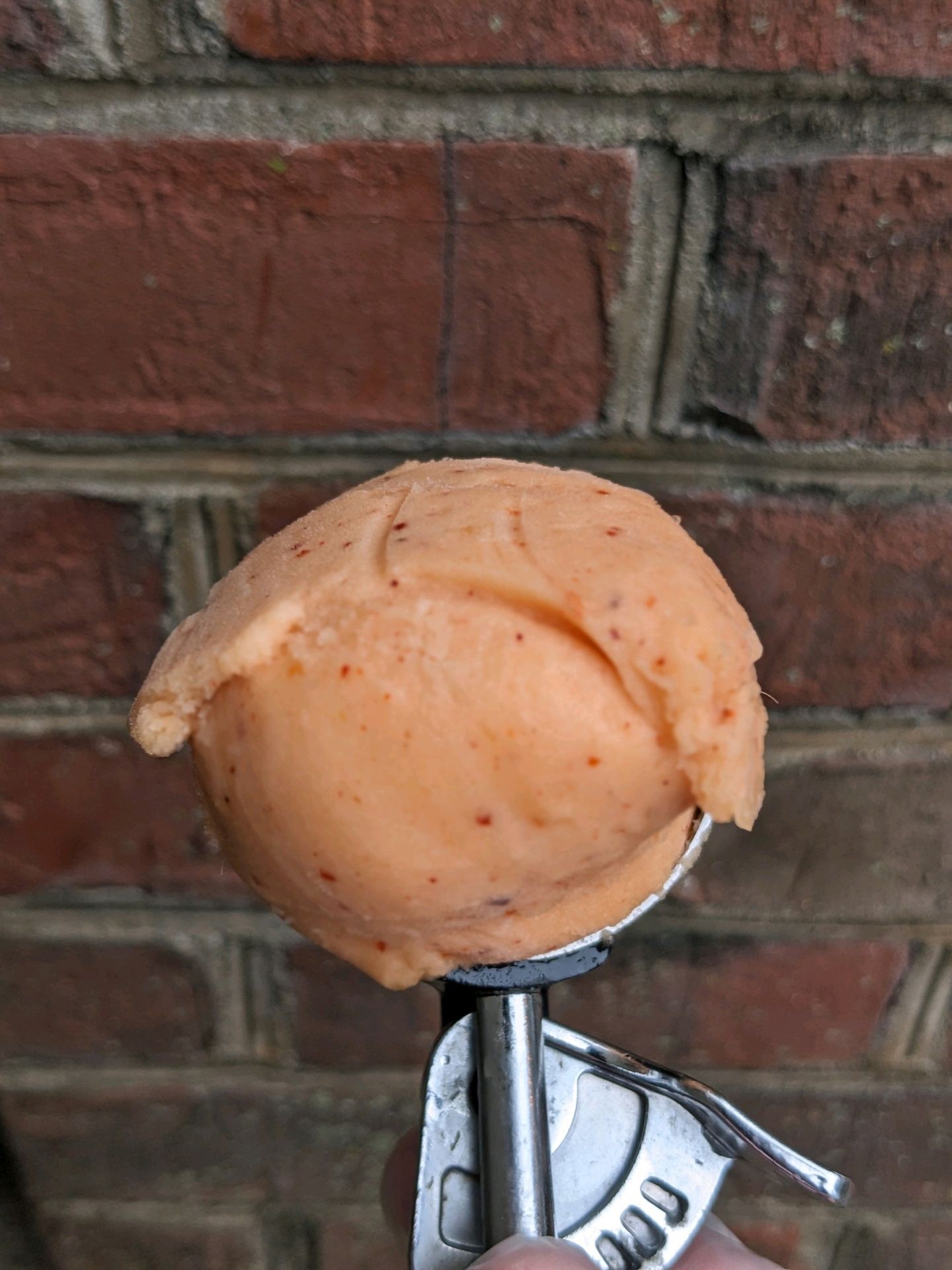 Mango Chamoy
