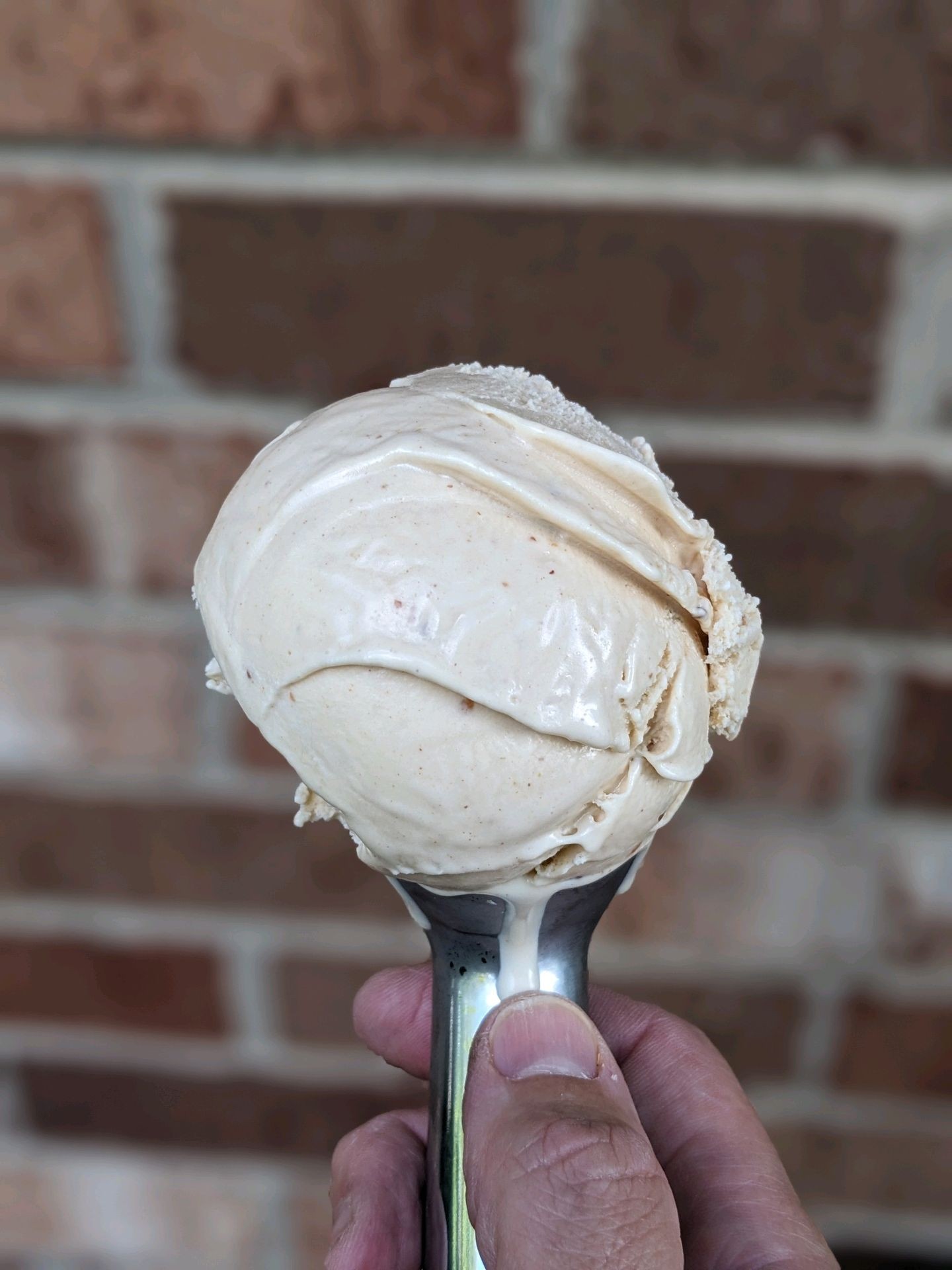 brick wall in background with a scoop of delicious and creamy looking beige ice cream in the forefront